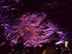 DSCN0822.JPGのサムネール画像