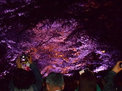 DSCN0823.JPGのサムネール画像